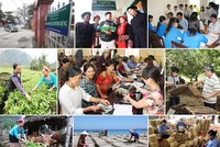 Thủ tướng yêu cầu cân đối đủ vốn ngân sách cho các chương trình tín dụng chính sách