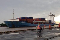 Các doanh nghiệp đang "ngóng" Nghị định quy định về phụ phí dịch vụ vận tải biển. Ảnh: H.Dịu