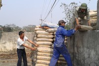 Tiêu thụ xi măng tăng trở lại trong tháng 3, nâng tổng sản lượng tiêu thụ 3 tháng đầu năm đạt gần 16 triệu tấn.