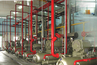 SRF trúng 2 gói thầu trị giá hơn 525 tỷ đồng