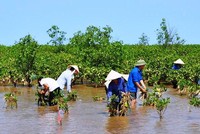 “Nên làm bạn với mặn vì nó sẽ là cơ hội làm giàu“