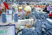 Ảnh minh họa. (Nguồn: TTXVN)