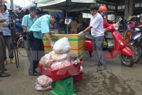 (Ảnh: Nguyễn Văn Việt/TTXVN)