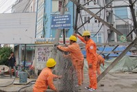 Nhân viên Tổng Công ty Điện lực Hà Nội đang kiểm tra lưới điện. (Ảnh: Đức Duy/Vietnam+)