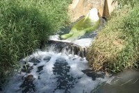 Thời gian gần đây, liên tiếp phát hiện nhiều công ty vi phạm quy định về xả thải (Ảnh minh họa)