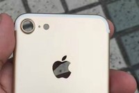 iPhone 7 lộ mặt lưng với thiết kế ăng-ten ẩn