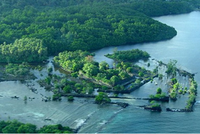 Thành phố đá cổ Nan Madol, Micronesia là một trong 21 địa danh mới lọt vào danh sách Di sản thế giới