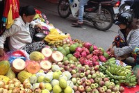 Rau quả có nguồn gốc Trung Quốc được tiêu thụ rất nhiều tại các chợ truyền thống, chợ tự phát