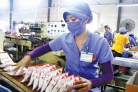 Dây truyền sản xuất mì ăn liền Miliket, 30 năm vẫn gắn với 2 con tôm in trên gói giấy.