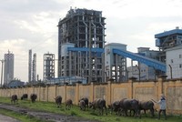 Nhà máy đạm Ninh Bình càng hoạt động càng lỗ.