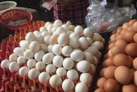 Trứng gà ta giá rẻ được bán tràn lan ở chợ Hà Nội