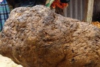 Nấm u nặng hơn 90 kg được anh Thanh rao bán