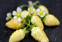 Dâu tây vàng khiến người chơi cây mê mẩn