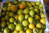 Ngày bán 2 tạ hồng giòn: Chị gái công sở lãi 3 triệu