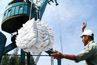 Phó Thủ tướng đề nghị Kiểm toán nhà nước thực hiện kiểm toán kết quả xác định giá trị doanh nghiệp và xử lý các vấn đề tài chính đối với Tổng công ty Lương thực miền Nam, hoàn thành trước ngày 1/12/2016.