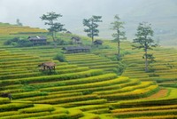 Xã Tú Lệ Là một thung lũng thuộc huyện Văn Chấn, tỉnh Yên Bái. Đây là một trong những điểm dừng chân yêu thích của bất cứ du khách nào trên đường qua Mù Cang Chải.