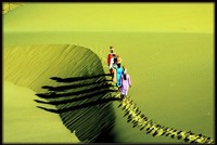 Du lịch du mục ở Ninh Thuận