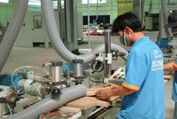 Tân Liên Phát đăng ký bán gần 29 triệu cổ phiếu TTF