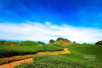 Những điểm đến tuyệt vời cho tháng 12