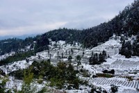 Lễ hội Mùa đông đầu tiên được tổ chức tại Sa Pa