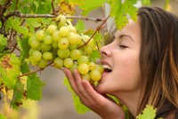 Ăn đủ 12 quả Nho cho may mắn ở Tây Ban Nha