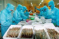 Cổ phiếu VNH có nguy cơ hủy niêm yết bắt buộc