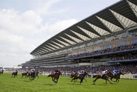 Người muốn tham gia chơi đặt cược đua ngựa phải đủ 21 tuổi.