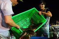 Chợ cá lóc lớn nhất Sài Gòn nhộn nhịp nhờ ngày vía Thần tài