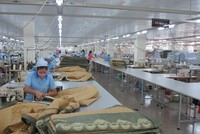 Công ty liên kết kéo lùi lợi nhuận của Everpia (EVE)