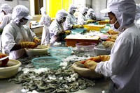 Thủy hải sản Việt Nhật chính thức hủy niêm yết từ ngày 23/3