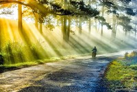 Những cái 'KHÔNG' thú vị ở Đà Lạt