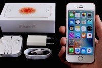 Apple có thể ra bản nâng cấp cho iPhone SE.
