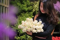 Ngày 8/3: Hoa hồng phủ chocolate Hà Lan giá “chát” vẫn “cháy hàng“