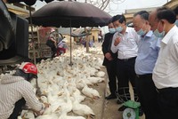 Hà Nội kiểm tra công tác phòng chống dịch tại chợ gia cầm Hà Vĩ. Ảnh: Kinhtedothi.