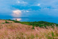 Đồi cỏ lau thơ mộng gây 'sốt' ở đảo Bình Ba