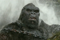 Phim 'Kong' chờ được cứu doanh thu ở thị trường Trung Quốc