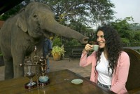 10 loại cà phê đắt nhất thế giới