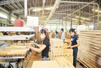 Tân Liên Phát đã bán hơn 36 triệu cổ phiếu Gỗ Trường Thành (TTF)