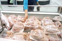 Đùi gà Mỹ nhập về Việt Nam chỉ 15.500 đồng một kg