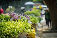 Gánh loa kèn và nỗi nhớ tháng 4