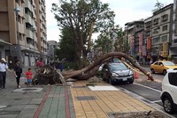 Những vụ thoát chết ngoạn mục