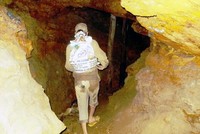 Phu vàng đang cõng quặng trong hầm lò số 10.