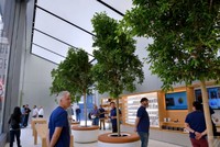 Cửa hàng mới sẽ có cây xanh, màn hình lớn và phòng họp. Ảnh: The Verge