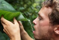 Bí quyết sinh tồn phòng khi đi lạc trên đường du lịch