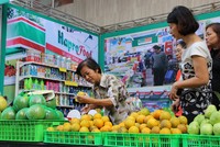 Công ty cổ phần được chuyển đổi từ Công ty mẹ - Hapro sẽ phải kế thừa quyền lợi và nghĩa vụ tại các công ty cổ phần, công ty TNHH - bao gồm cả 41 khoản đầu tư tài chính.