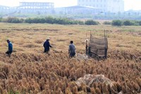 60 dự án tại 10 tỉnh thành sẽ bị Thanh tra Chính phủ thanh tra trong năm 2017. (ảnh Gia Huy)