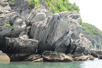 Quy hoạch mới của Cát Bà có ảnh hưởng tới loài Voọc quý hiếm?