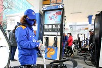 Để bù đắp thuế nhập khẩu về 0% trong thời gian tới, các chuyên gia cho rằng trước mắt có thể tính toán tăng thuế nội địa, trong đó có thuế bảo vệ môi trường với xăng dầu.