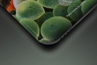 Hình dung về iPhone màn hình 360 độ năm 2020