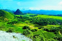 Rủ nhau lên Mộc Châu hái mận chín